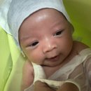 청주 오창 산후도우미 업체 추천 ; 맘스토리 둘째맘 4주 후기