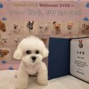 일산애견호텔 애견유치원 맘바이 일산점 | 분리불안 걱정 덜어준 일산애견호텔 맘바이 일산점 이용후기 !!