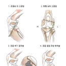 금빛동물병원 이미지