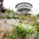 고산정원 이미지