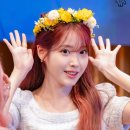 아이유애플
