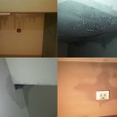 종합운동장 보조경기장 백제뉴스