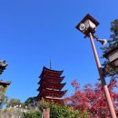 청천사슴
