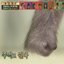 더벤티 명장점 | 조만간 날씨 때문에 정수리 다 벗겨지는 것 아닐까 진지하게 양산 유행을 제안하는 바