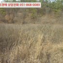 임고면-고천리-16