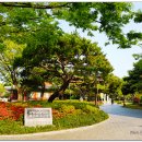 경상감영공원 이미지