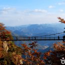 가을여행 이미지