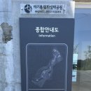 애기봉평화생태공원 야외공연장 이미지