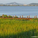 삽교호 호수공원 야구장 이미지