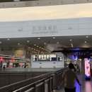 와코짐 | 일본 오사카 간사이국제공항 돈카츠 맛집 [와코 케이테이] 내돈내산 후기