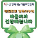 용인대박사백호태권도장 이미지
