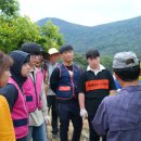 김재선농장 Daum카페