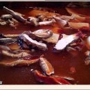 마약떡볶이 이미지