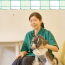 더 이쁘개 이미지