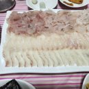 바다회센타 이미지