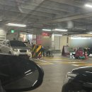 6월 첫째주 코스트코 내돈내산 추천템 f.의정부 코스트코