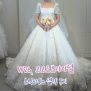 핑크펄헤어바 | 코코드브라이덜 본식드레스셀렉 실크 비즈 추가금 공유