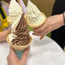 6月 돌아다니다 지치기