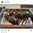 미안예