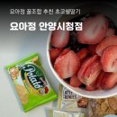 요아정 안양시청점 안양 요아정 꿀조합 초코쉘딸기 관양동 디저트