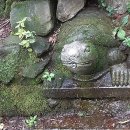 너구리약수터 이미지