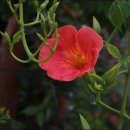 소석농장 이미지