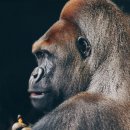 자연이야기 이미지