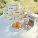 호호제주 이미지