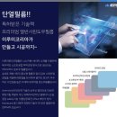 세라필름 이미지