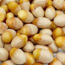 은행정천 이미지