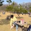 율무네애견 이미지