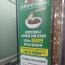 르노삼성자동차서비스코너금릉점 | 금릉 &#39;보배 반점&#39; 짜장면, 볶음밥, 냉짬뽕 솔직후기 (내돈내산)