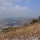 고동치 Daum카페