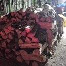 한반도면-5 이미지