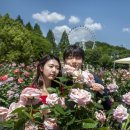 화수목 - 고양시 일산서구 주화로 210 | 화수목