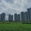 니케공인중개사사무소 이미지