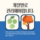 계절따라 이미지