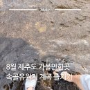 오성빌라 앞 | 8월제주도가볼만한곳 제주 속골유원지 서귀포 계곡 샤워 주차 수영 총정리