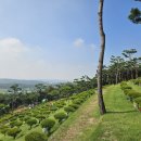 농지목장 | 화성 수목장의 경제형 장지로서의 장점