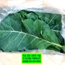 전남 담양 친환경 마을 유기농 케일 Kale - 배송
