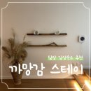 까망감스테이 | 여름 담양 여행 🖤 가성비 좋은 감성숙소 &lt;까망감 스테이&gt; 3번방 3인 숙박 후기