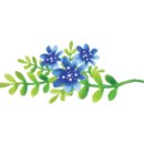 돈까스짱 우림시장점 이미지