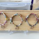 몽구리DOG 이미지