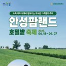 팜랜드