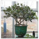 첨성대스파랜드 이미지