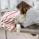 코지동물의료센터 이미지