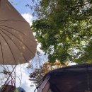 해리농협 하나로마트 이미지