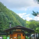 알파카 소풍 펜션 이미지