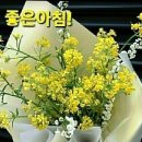 아라메길(4) 이미지