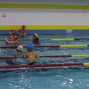 닥터마린키즈수영장 이미지